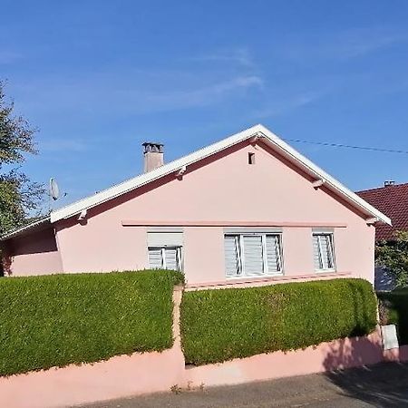 Superbe Maison 3 Chambres 1 Etage Et Sous-Sol, Avec Jardin Et Terrasse Altkirch Exterior foto