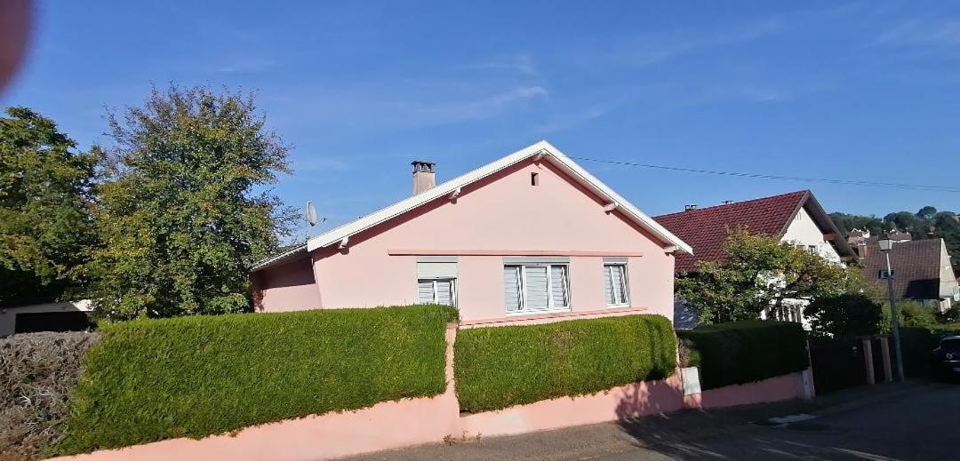 Superbe Maison 3 Chambres 1 Etage Et Sous-Sol, Avec Jardin Et Terrasse Altkirch Exterior foto